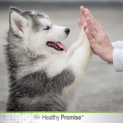 Four Paws Healthy Promise Paw Guard Dog Paw Protection Paw Guard, 1.75-oz