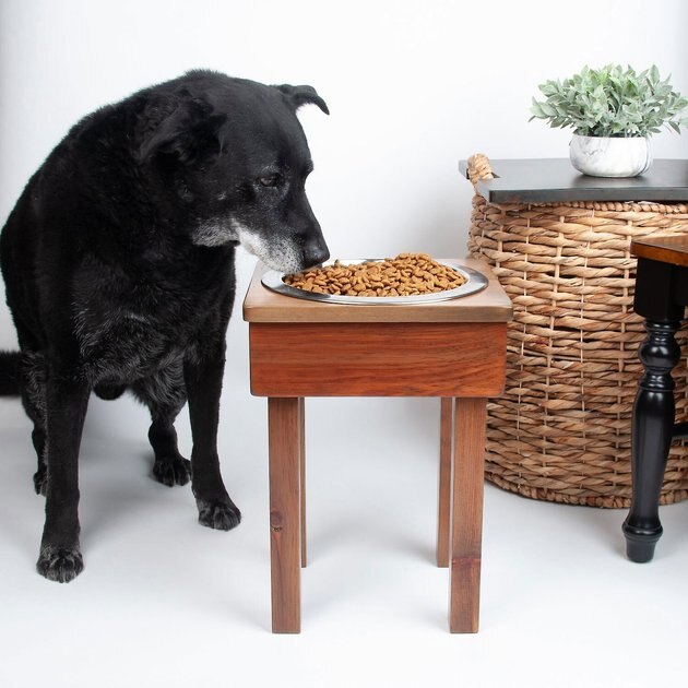 Ozarks Fehr Trade Originals Elevated Single Dog & Cat Bowl, Forest Trail, 12-Cup, 17-in Tall