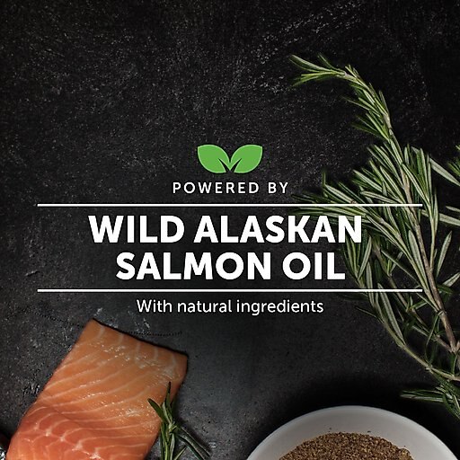 PetHonesty Wild Alaskan Salmon Oil Liquid Supplement for Dogs & Cats, 32-oz bottle