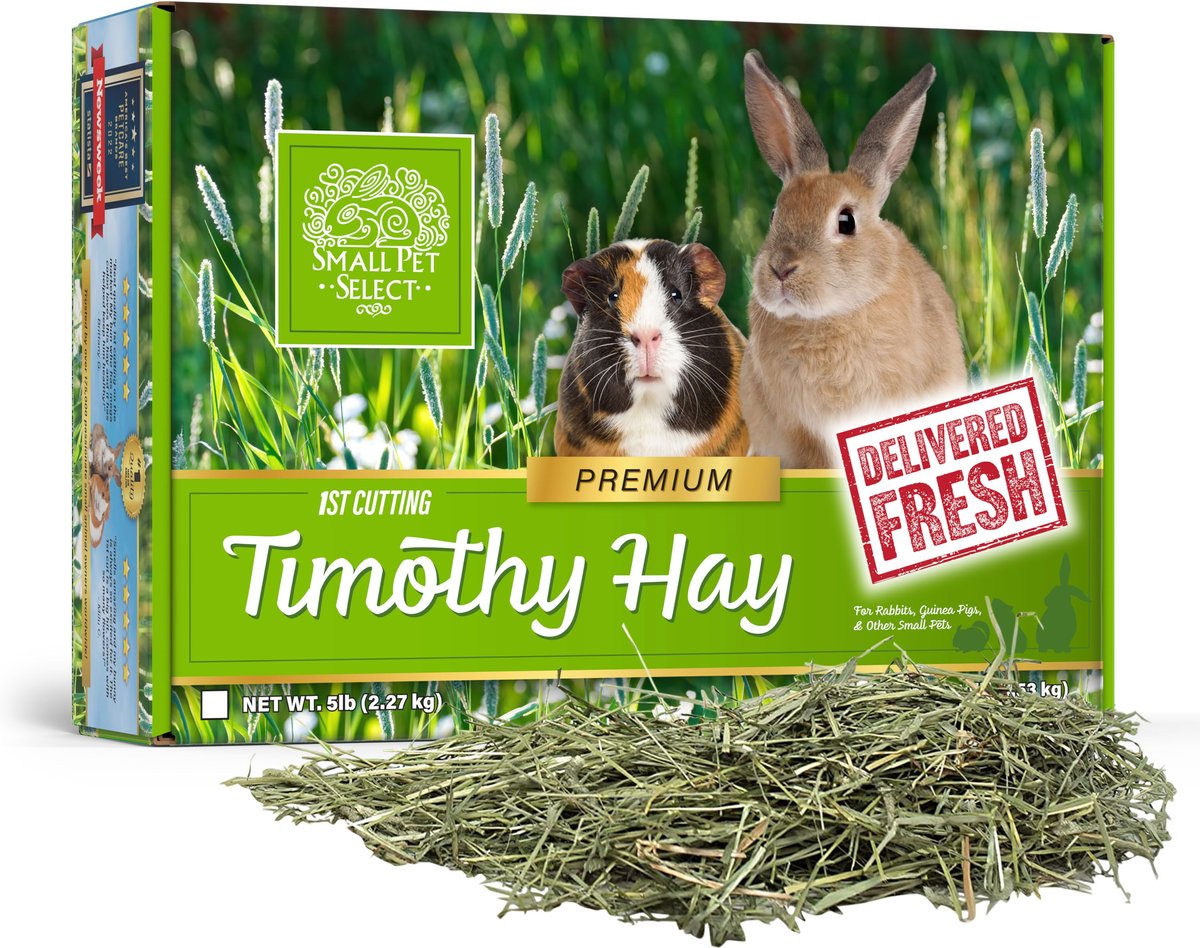 SMALL PET SELECT First Cut Timothy Hay Small Animal Food, 10lb box