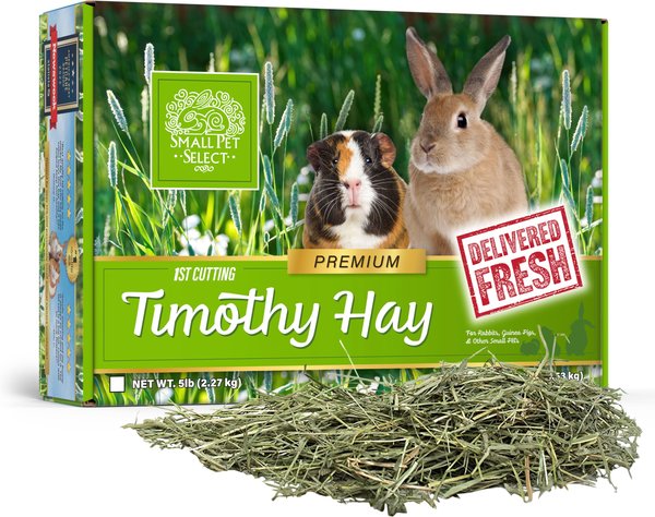Small Pet Select First Cut Timothy Hay Small Animal Food, 10-lb box slide 1 of 4