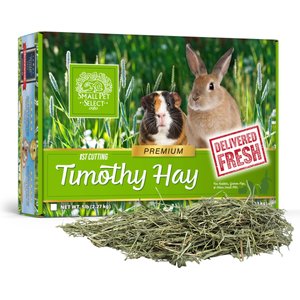 (2 pack) Vitakraft Small Animal Timothy Hay for Guinea Pigs, Rabbits, and  Chinchillas - 3.5 lb