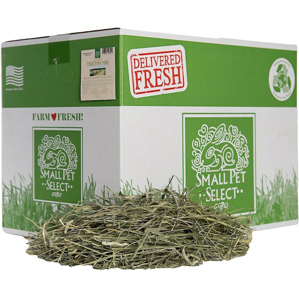 OXBOW Animal Health Western Timothy Hay All Natural Hay for Rabbits ...