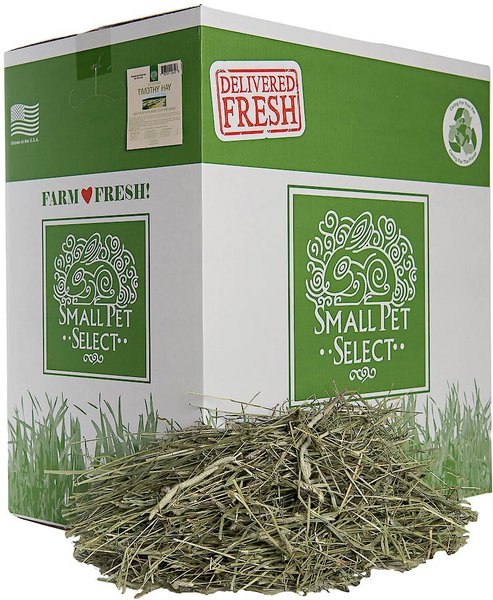Carefresh Timothy Hay Small Animal Food