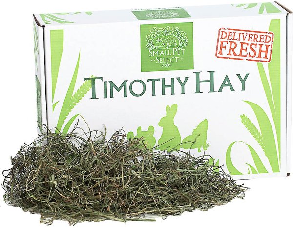 Hartz Timothy Hay Small Animal Food