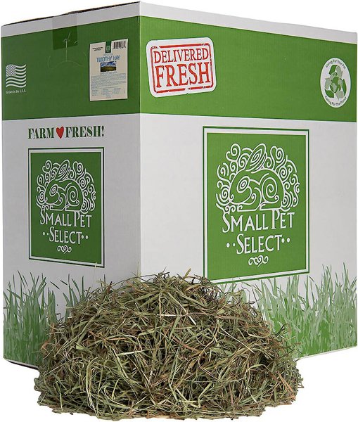 Discontinued SMALL PET SELECT Third Cut Timothy Hay Small Animal