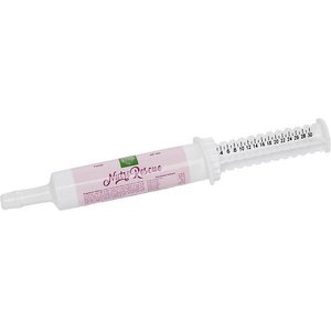Small Pet Select Nutri-Rescue Small Animal Supplement, 30-ml syringe