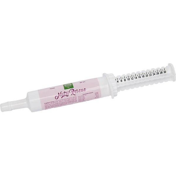 Small Pet Select Nutri-Rescue Small Animal Supplement, 30-ml syringe