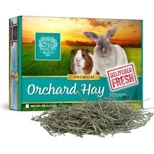 Small Pet Select Orchard Grass Hay Small Animal Food, 5-lb box