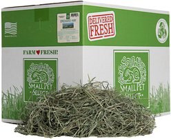 Small Pet Select Orchard Grass Hay Small Animal Food, 20-lb box