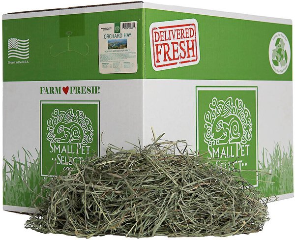 Small Pet Select Orchard Grass Hay Small Animal Food, 20-lb box slide 1 of 3