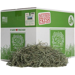 Small Pet Select Orchard Grass Hay Small Animal Food, 20-lb box
