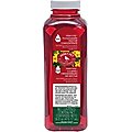 Perky-Pet Nectar Concentrate Red Hummingbird Food, 16-oz bottle