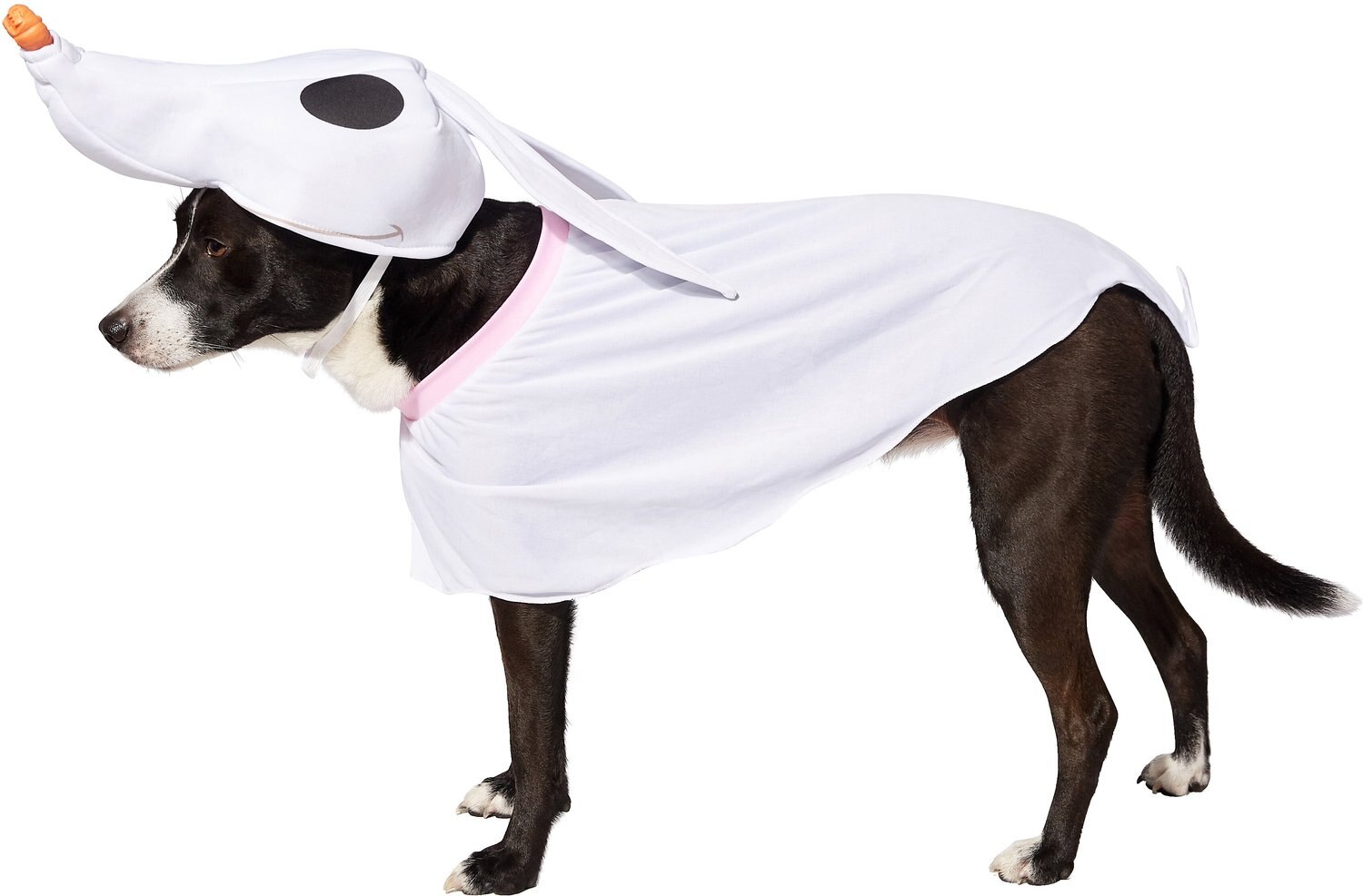Rubie's Costume Company Zero Dog Costume