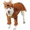 Show in main carousel: Rubie's Costume Company Scooby-Doo! Dog Costume, X-Large slide 1 of 5