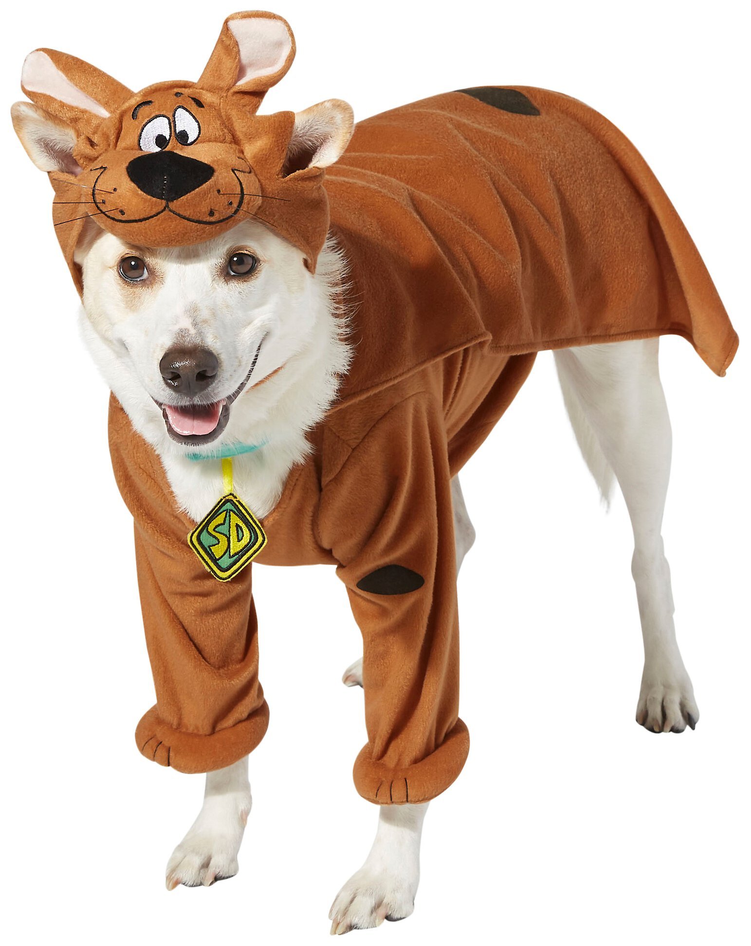 RUBIE'S COSTUME COMPANY ScoobyDoo! Dog Costume Customer Questions