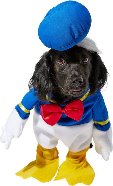 RUBIE'S COSTUME COMPANY Walking Donald Duck Dog Costume, Large - Chewy.com