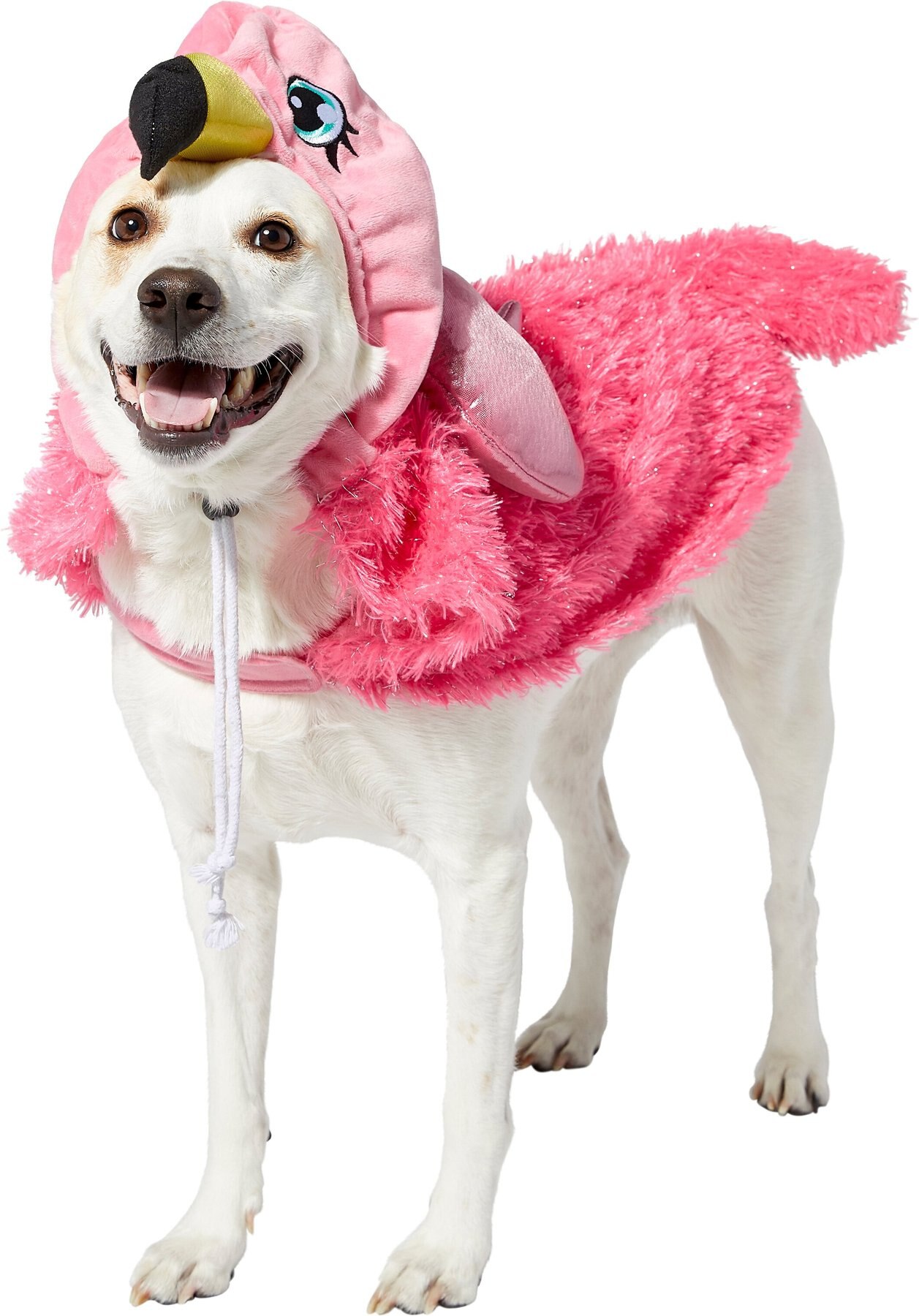 flamingo dog outfit