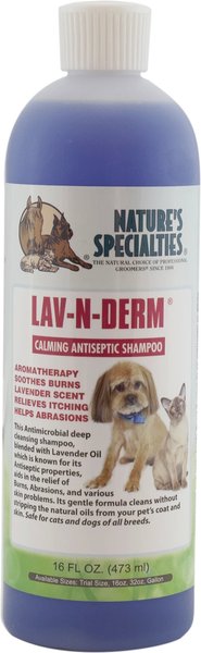 Nature's Specialties Lav-N-Derm Calming Antiseptic Dog Shampoo, 16-oz bottle slide 1 of 1
