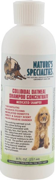Nature's Specialties Colloidal Oatmeal Medicated Dog Shampoo Concentrate, 8-oz bottle slide 1 of 1