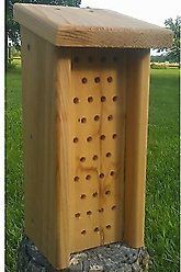 Bird Houses by Mark Mason Bee House