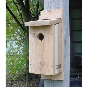 Bird Houses by Mark Cedar Bluebird Bird House