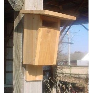 Bird Houses by Mark Sparrow Resistant Bluebird Bird House