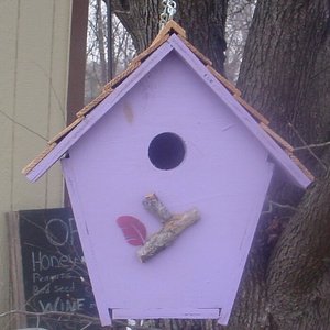 Bird Houses by Mark Cabin Bird House, Lavender