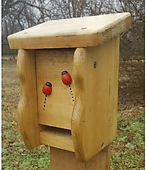 Bird Houses by Mark Small Ladybug Bird House, Golden Oak
