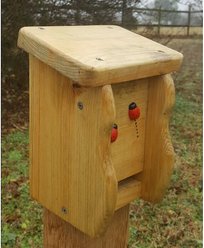 Bird Houses by Mark Small Ladybug Bird House, Golden Oak slide 2 of 3
