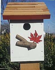 Bird Houses by Mark Salt Box Bird House, Red