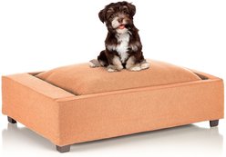 Club Nine Pets Mod Slipcover DuraFlax Performance Orthopedic Dog & Cat Bed, Mango, Small