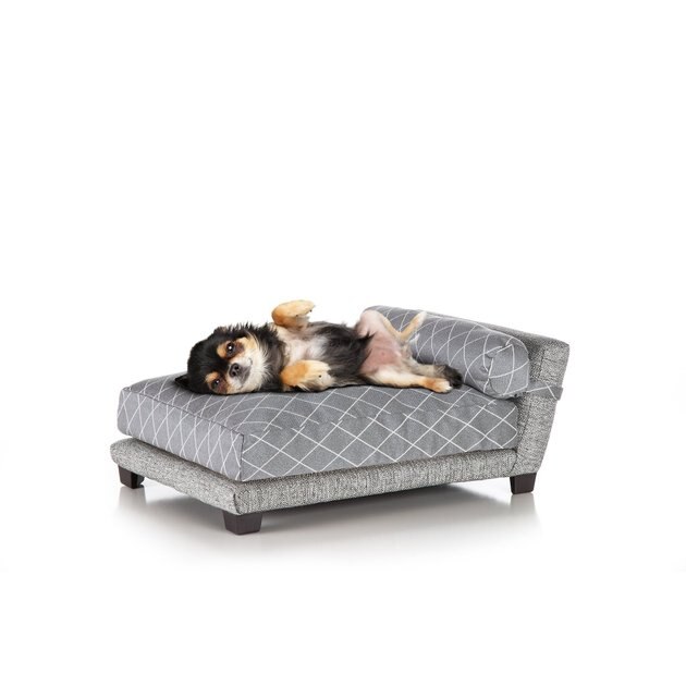 CLUB NINE PETS Mid-Century Collection DuraFlax Performance Orthopedic ...