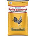 Bluebonnet Feeds Poultry Maintenance Premium Formula Grain Bird Food, 50-lb bag