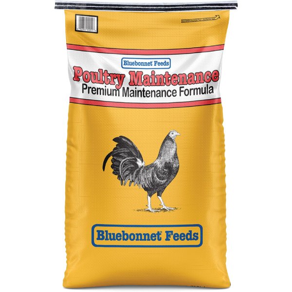 9 Types of Chicken Feed Explained — K&H Pet Products