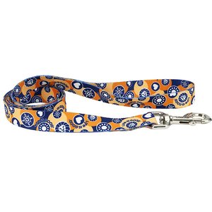 LIFE IS GOOD Styles Polyester Dog Leash, 4-ft long, 5/8-in wide