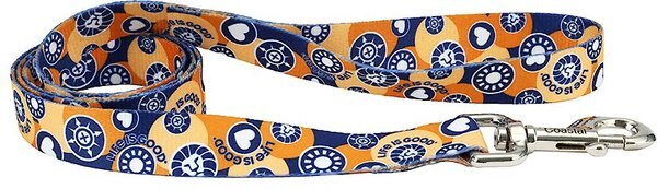 LIFE IS GOOD Styles Polyester Dog Leash, 4-ft long, 3/4-in wide slide 1 of 4
