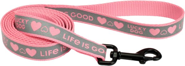 LIFE IS GOOD Polyester Reflective Dog Leash, Lucky Dog, 6-ft long, 1-in wide slide 1 of 7