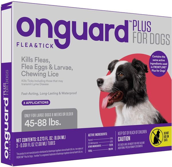 Border collie flea and hotsell tick control