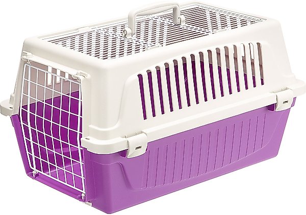 Ferplast ATLAS Two Door Top Load Plastic Dog & Cat Carrier, Purple, 22-in slide 1 of 5
