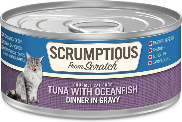 Tuna can 2024 cat scratcher