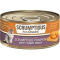 Scrumptious From Scratch Scrumptious Pumpkin Puree Canned Cat Food, 2.8-oz, case of 12