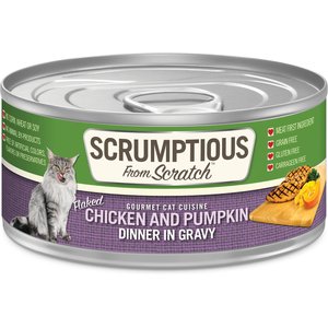 Health Extension Grain-Free Chicken & Pumpkin Recipe Canned Cat Food