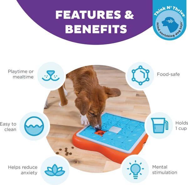 Nina Ottosson by Outward Hound Challenge Slider Dog Toy