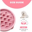 Outward Hound Non-Skid Plastic Slow Feeder Dog Bowl