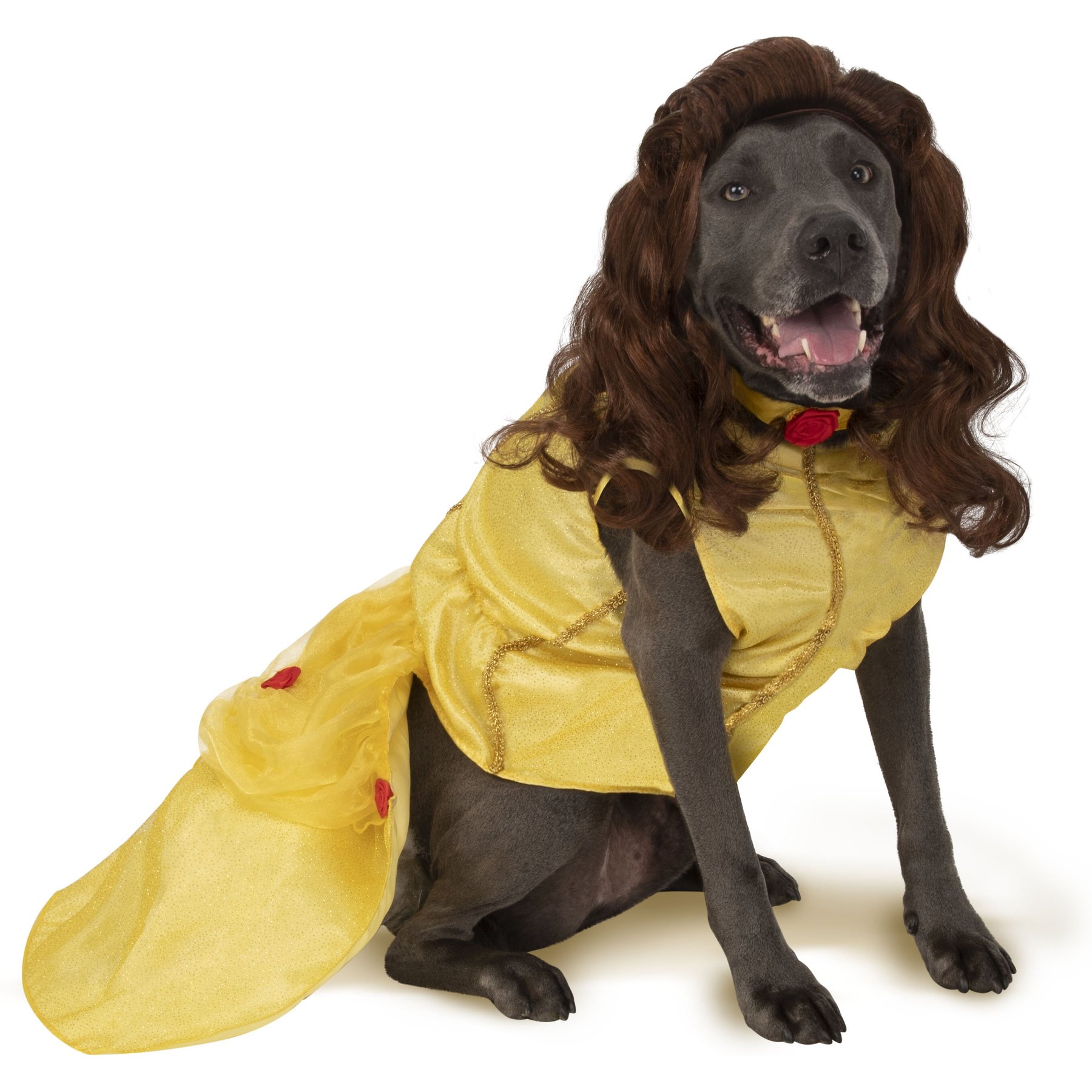 Rubie's Costume Company Belle Disney Princess Dog & Cat Costume