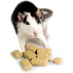 Sunseed Vita Prima Critter Cubes Rat, Mouse, Gerbil & Hamster Food, 2-lb bag