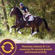 HORSE HEALTH PRODUCTS Vita B-1 Crumbles For Optimal Muscle & Metabolism ...