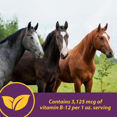 Show full view: Horse Health Products Vita B-12 Crumbles Horse Vitamin Supplement, 3-lb bucket slide 4 of 9