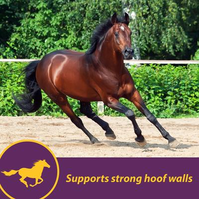 Show full view: Horse Health Products Vita Biotin Crumbles, Supports Proper Hoof Health in Horses 20 pounds, 320 Day Supply slide 4 of 9